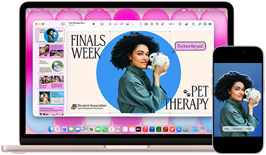 MacBook Neo, Farbe Rosa, neben einem iPhone, das MacBook Neo Display zeigt eine Präsentation mit dem Titel „Finals Week Pet Therapy“ mit dem Foto einer Person, die ein Kaninchen hält, das iPhone Display zeigt das gleiche Foto, das in einen Sticker für die Präsentation verwandelt wurde