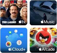 Vier Kacheln: Apple TV Kachel zeigt Figuren aus der Serie Ted Lasso, Apple Music Kachel zeigt das Albumcover von Davidos Album 5ive, iCloud Plus Kachel zeigt eine Wolke, umgeben von App Symbolen für Fotos, Kalender, Mail, Erinnerungen, Nachrichten und Dateien, Apple Arcade Kachel zeigt Figuren aus dem Spiel Angry Birds